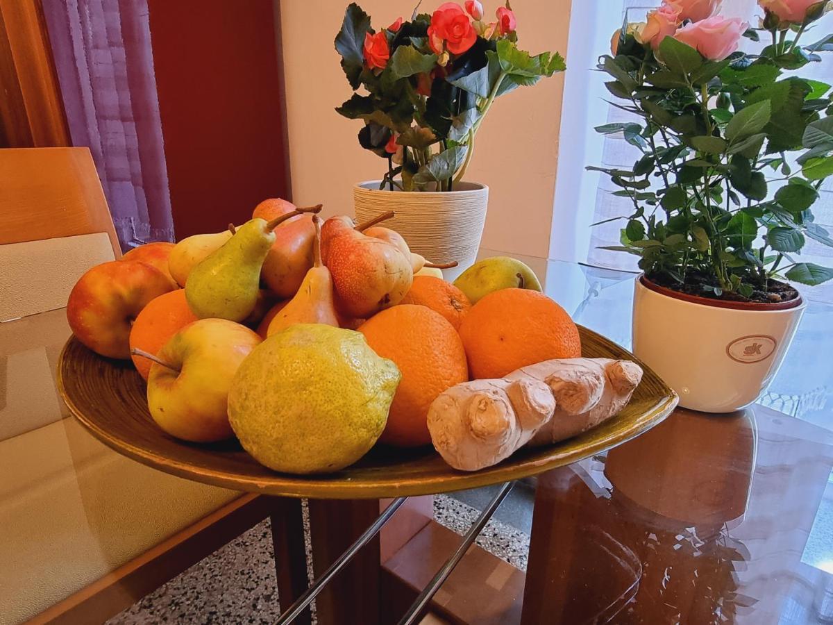 ***Apartment Magic &Summervibes*** 里耶卡 外观 照片
