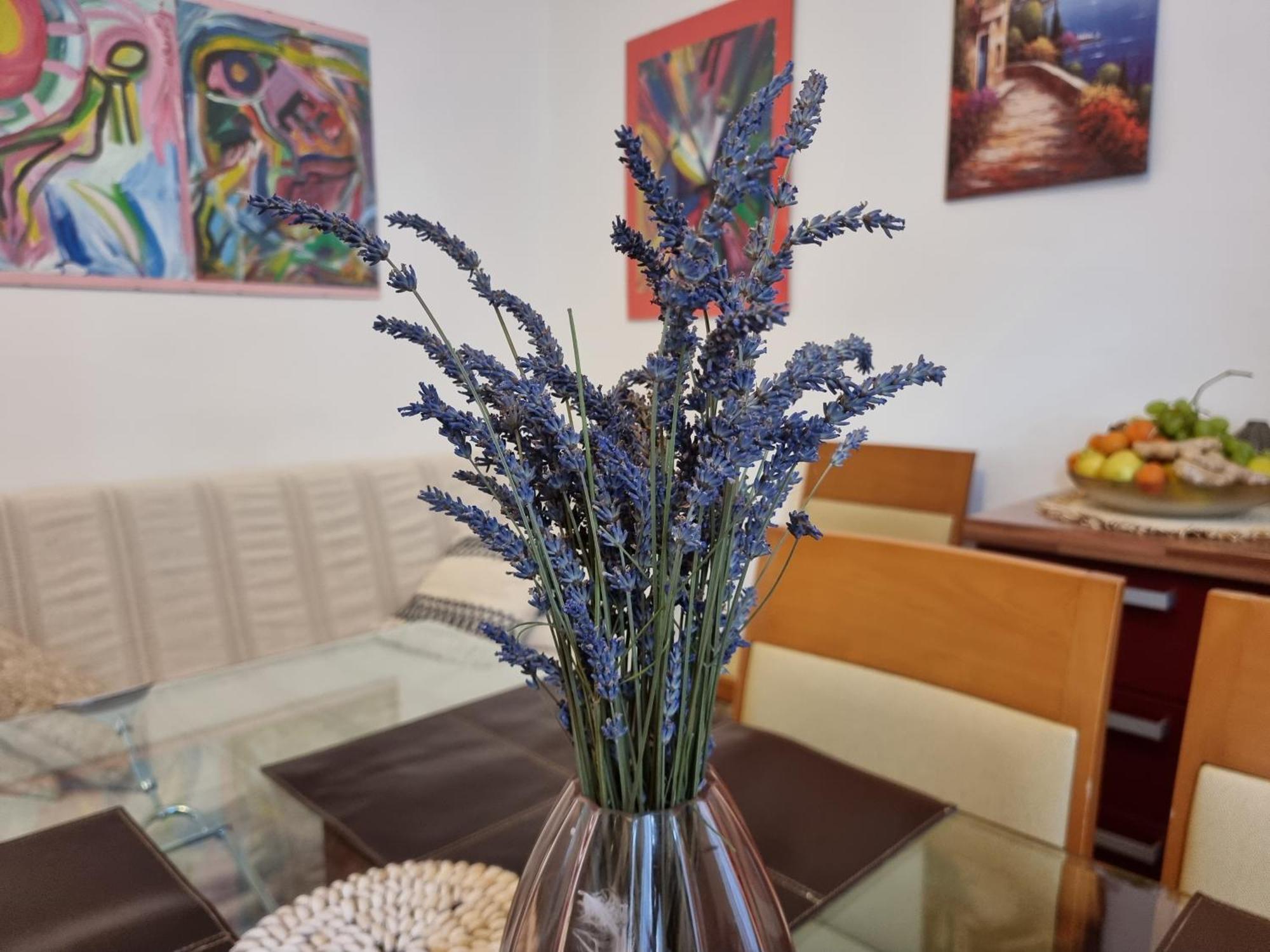 ***Apartment Magic &Summervibes*** 里耶卡 外观 照片