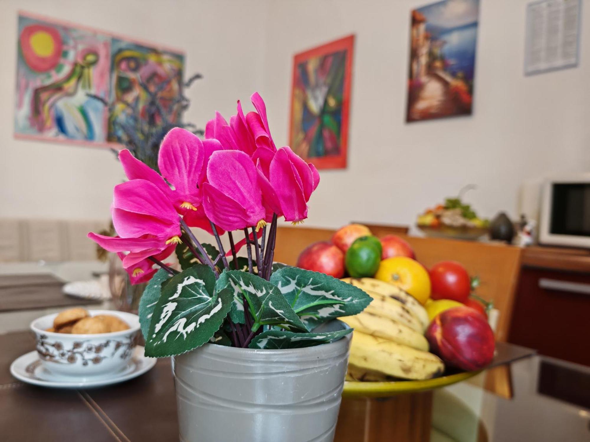 ***Apartment Magic &Summervibes*** 里耶卡 外观 照片